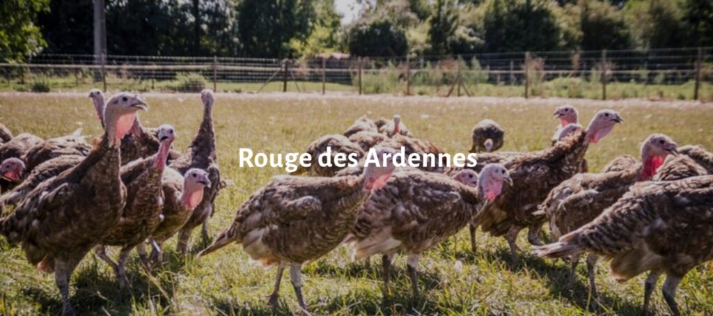 Rouge des Ardennes